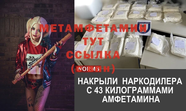 прущие грибы Пересвет