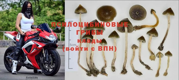 трава Баксан